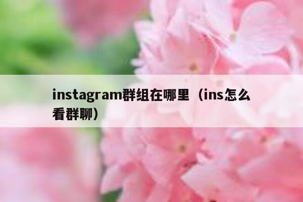 instagram群组在哪里(ins怎么看群聊) 第1张 instagram群组在哪里(ins怎么看群聊) 第1张