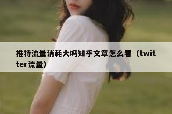 推特流量消耗大吗知乎文章怎么看(twitter流量) 第1张 推特流量消耗大吗知乎文章怎么看(twitter流量) 第1张