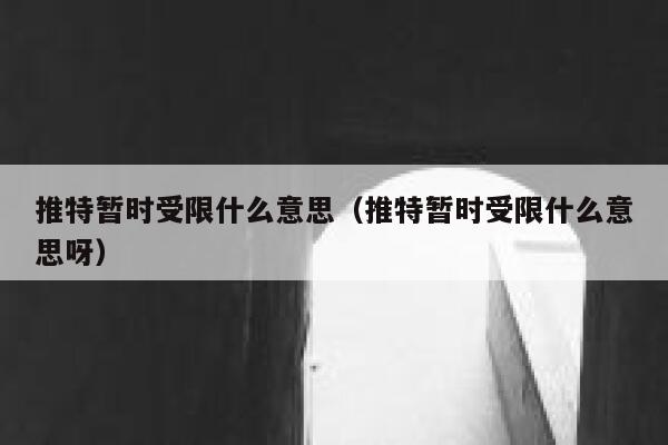 推特暂时受限什么意思(推特暂时受限什么意思呀) 第1张 推特暂时受限什么意思(推特暂时受限什么意思呀) 第1张