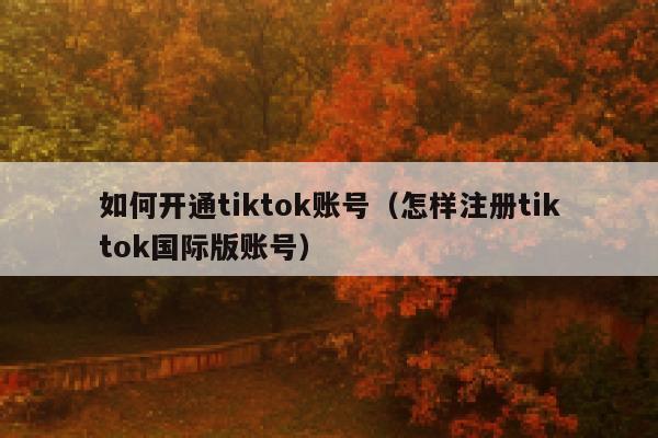 如何开通tiktok账号(怎样注册tiktok国际版账号) 第1张 如何开通tiktok账号(怎样注册tiktok国际版账号) 第1张