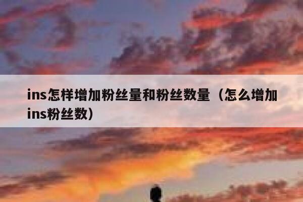 ins怎样增加粉丝量和粉丝数量(怎么增加ins粉丝数) 第1张 ins怎样增加粉丝量和粉丝数量(怎么增加ins粉丝数) 第1张