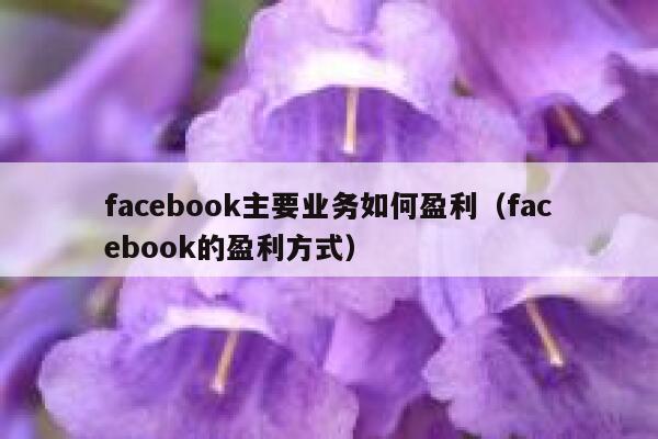 facebook主要业务如何盈利(facebook的盈利方式) 第1张 facebook主要业务如何盈利(facebook的盈利方式) 第1张