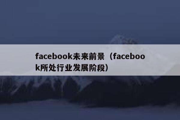 facebook未来前景(facebook所处行业发展阶段) 第1张 facebook未来前景(facebook所处行业发展阶段) 第1张