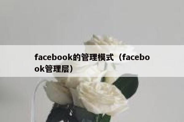 facebook的管理模式(facebook管理层) 第1张 facebook的管理模式(facebook管理层) 第1张