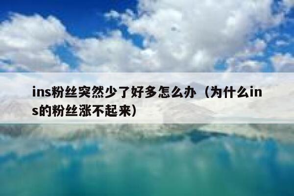 ins粉丝突然少了好多怎么办(为什么ins的粉丝涨不起来) 第1张 ins粉丝突然少了好多怎么办(为什么ins的粉丝涨不起来) 第1张