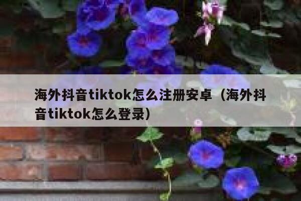 海外抖音tiktok怎么注册安卓(海外抖音tiktok怎么登录) 第1张 海外抖音tiktok怎么注册安卓(海外抖音tiktok怎么登录) 第1张