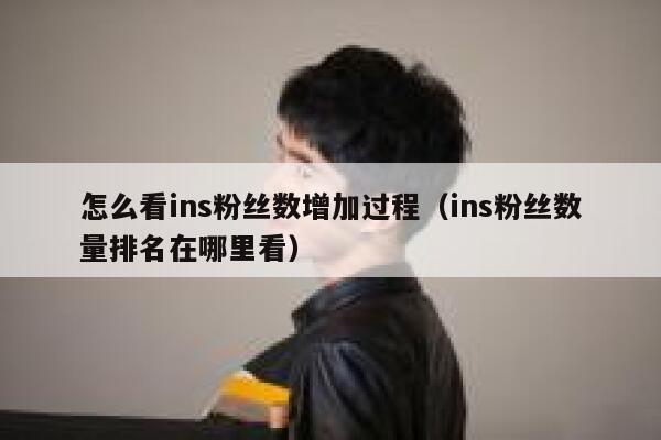 怎么看ins粉丝数增加过程(ins粉丝数量排名在哪里看) 第1张 怎么看ins粉丝数增加过程(ins粉丝数量排名在哪里看) 第1张