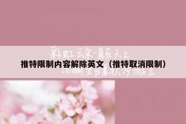推特限制内容解除英文(推特取消限制) 第1张 推特限制内容解除英文(推特取消限制) 第1张