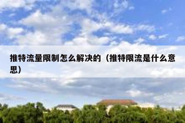 推特流量限制怎么解决的(推特限流是什么意思) 第1张 推特流量限制怎么解决的(推特限流是什么意思) 第1张