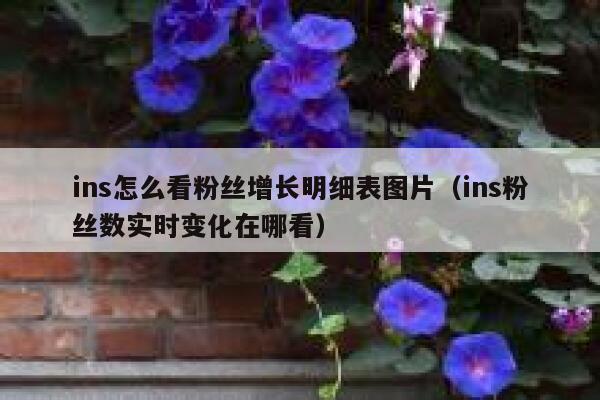 ins怎么看粉丝增长明细表图片(ins粉丝数实时变化在哪看) 第1张 ins怎么看粉丝增长明细表图片(ins粉丝数实时变化在哪看) 第1张