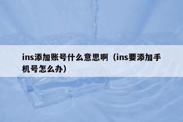 ins添加账号什么意思啊(ins要添加手机号怎么办) 第1张 ins添加账号什么意思啊(ins要添加手机号怎么办) 第1张