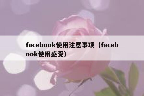 facebook使用注意事项(facebook使用感受) 第1张 facebook使用注意事项(facebook使用感受) 第1张