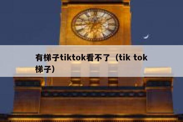 有梯子tiktok看不了(tik tok梯子) 第1张 有梯子tiktok看不了(tik tok梯子) 第1张