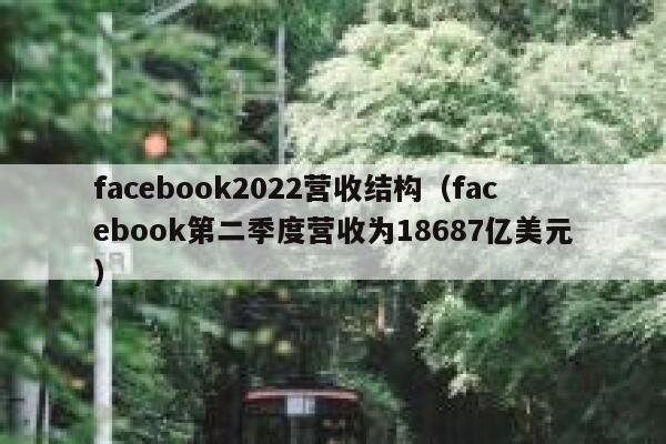 facebook2022营收结构（facebook第二季度营收为18687亿美元） 第1张