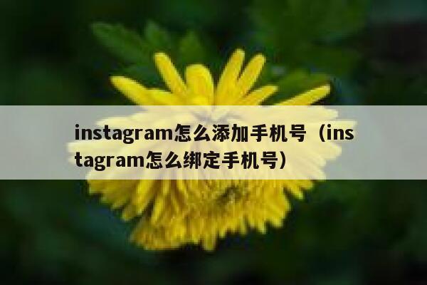 instagram怎么添加手机号(instagram怎么绑定手机号) 第1张 instagram怎么添加手机号(instagram怎么绑定手机号) 第1张