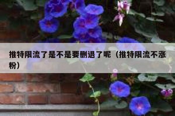 推特限流了是不是要删退了呢(推特限流不涨粉) 第1张 推特限流了是不是要删退了呢(推特限流不涨粉) 第1张
