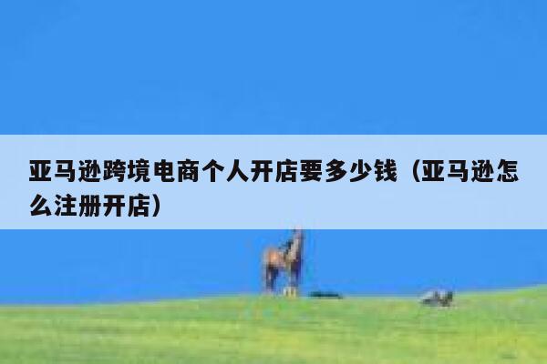 亚马逊跨境电商个人开店要多少钱(亚马逊怎么注册开店) 第1张 亚马逊跨境电商个人开店要多少钱(亚马逊怎么注册开店) 第1张