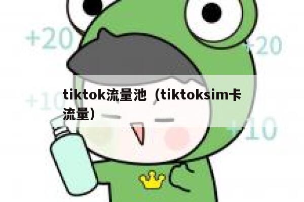 tiktok流量池(tiktoksim卡流量) 第1张 tiktok流量池(tiktoksim卡流量) 第1张