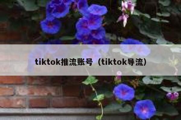 tiktok推流账号(tiktok导流) 第1张 tiktok推流账号(tiktok导流) 第1张