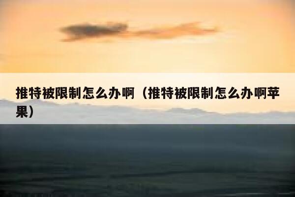 推特被限制怎么办啊(推特被限制怎么办啊苹果) 第1张 推特被限制怎么办啊(推特被限制怎么办啊苹果) 第1张
