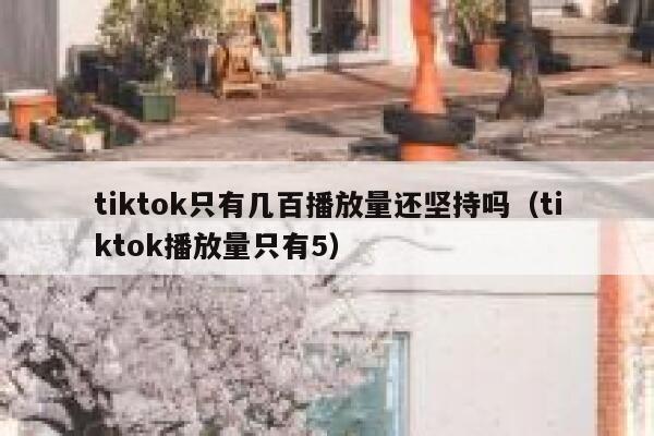 tiktok只有几百播放量还坚持吗(tiktok播放量只有5) 第1张 tiktok只有几百播放量还坚持吗(tiktok播放量只有5) 第1张