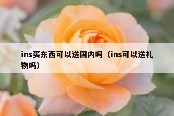 ins买东西可以送国内吗(ins可以送礼物吗) 第1张 ins买东西可以送国内吗(ins可以送礼物吗) 第1张