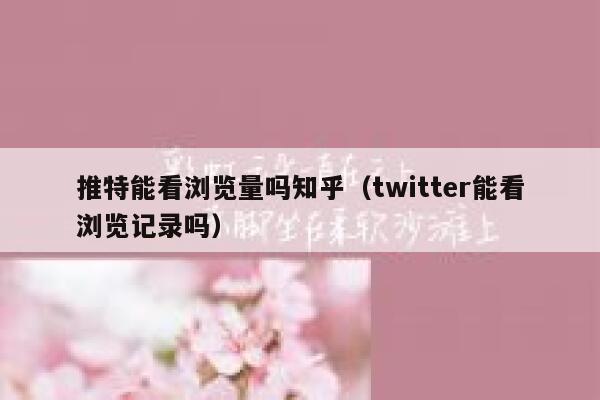 推特能看浏览量吗知乎（twitter能看浏览记录吗） 第1张