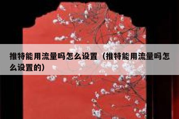 推特能用流量吗怎么设置(推特能用流量吗怎么设置的) 第1张 推特能用流量吗怎么设置(推特能用流量吗怎么设置的) 第1张