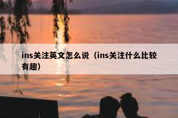 ins关注英文怎么说(ins关注什么比较有趣) 第1张 ins关注英文怎么说(ins关注什么比较有趣) 第1张