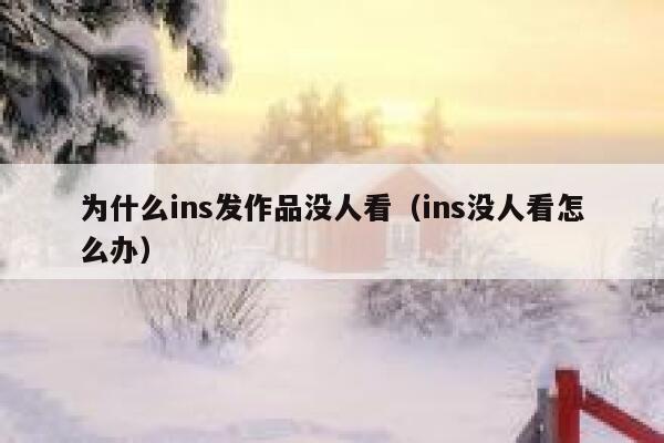 为什么ins发作品没人看（ins没人看怎么办） 第1张