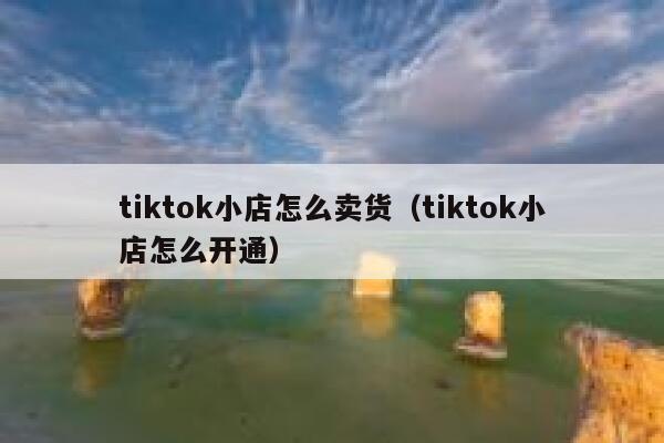 tiktok小店怎么卖货（tiktok小店怎么开通） 第1张