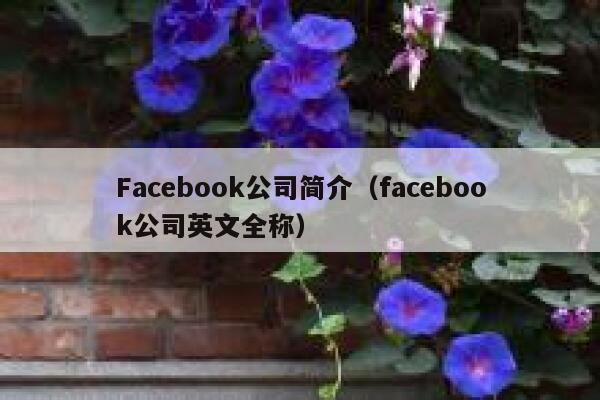 Facebook公司简介（facebook公司英文全称） 第1张