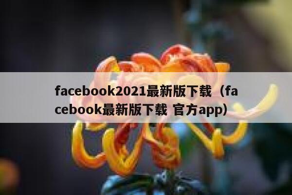 facebook2021最新版下载（facebook最新版下载 官方app） 第1张