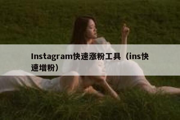 Instagram快速涨粉工具（ins快速增粉） 第1张