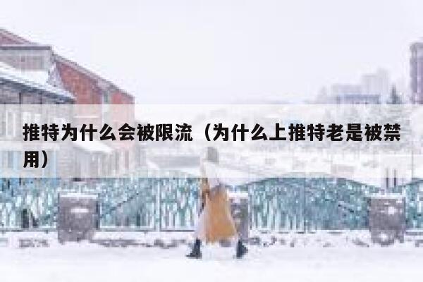 推特为什么会被限流（为什么上推特老是被禁用） 第1张