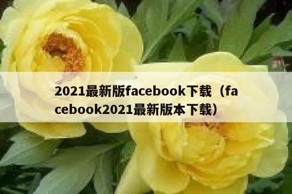 2021最新版facebook下载（facebook2021最新版本下载） 第1张