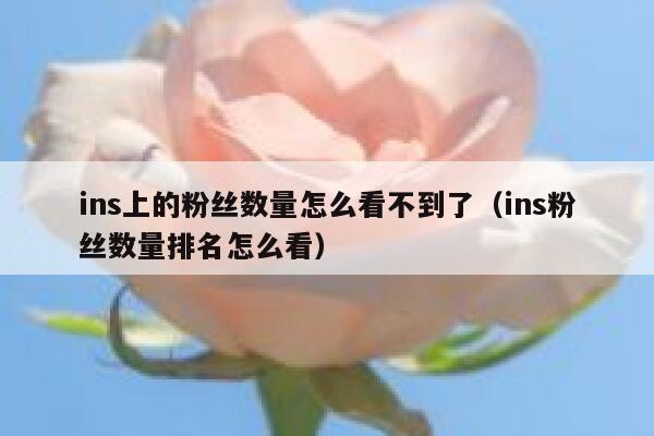 ins上的粉丝数量怎么看不到了（ins粉丝数量排名怎么看） 第1张