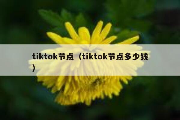 tiktok节点（tiktok节点多少钱） 第1张