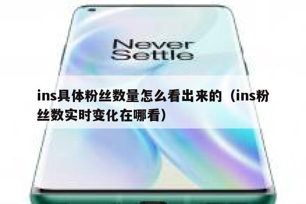 ins具体粉丝数量怎么看出来的（ins粉丝数实时变化在哪看） 第1张