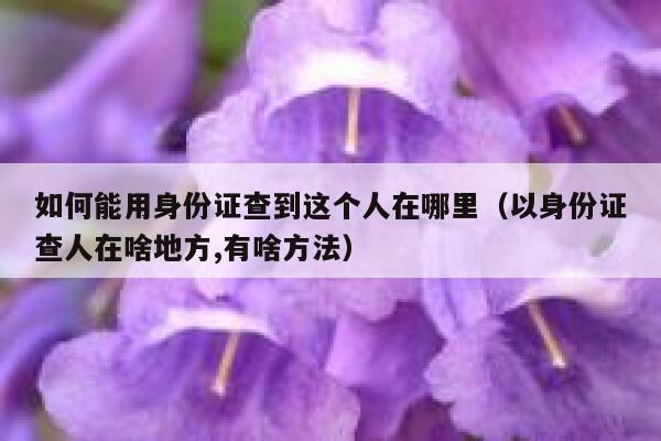 如何能用身份证查到这个人在哪里（以身份证查人在啥地方,有啥方法） 第1张