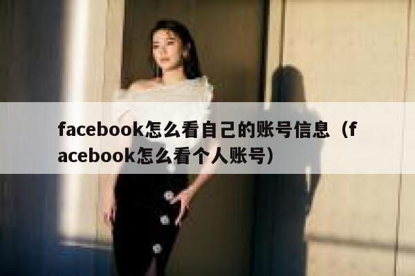 facebook怎么看自己的账号信息（facebook怎么看个人账号） 第1张