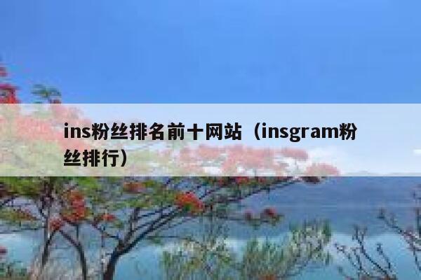 ins粉丝排名前十网站（insgram粉丝排行） 第1张