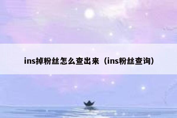 ins掉粉丝怎么查出来（ins粉丝查询） 第1张