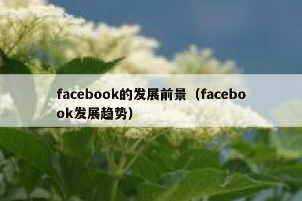 facebook的发展前景（facebook发展趋势） 第1张