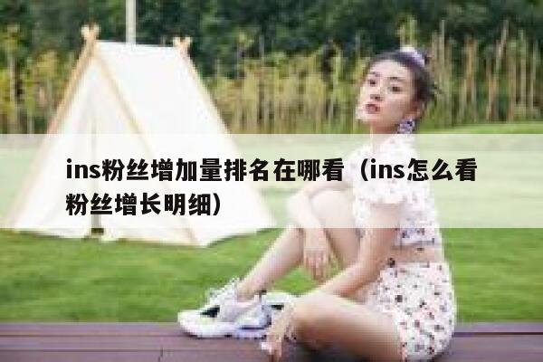 ins粉丝增加量排名在哪看（ins怎么看粉丝增长明细） 第1张