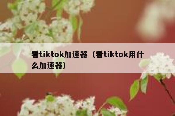 看tiktok加速器（看tiktok用什么加速器） 第1张