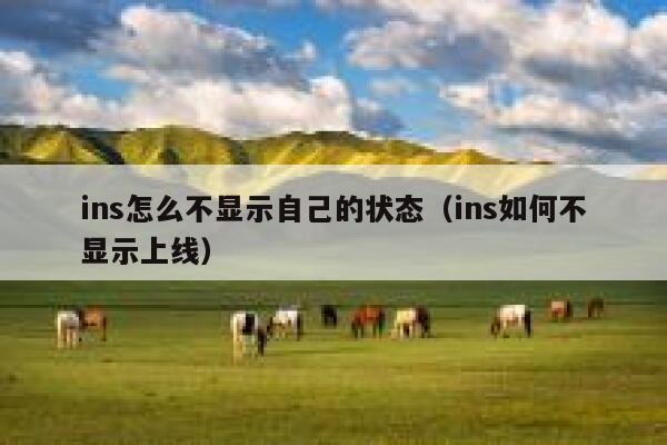 ins怎么不显示自己的状态（ins如何不显示上线） 第1张