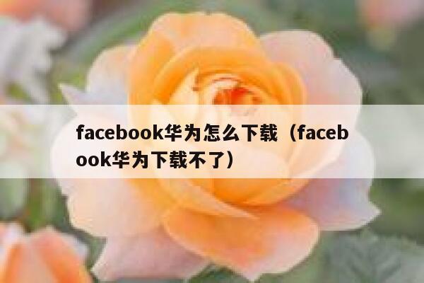 facebook华为怎么下载(facebook华为下载不了) 第1张 facebook华为怎么下载(facebook华为下载不了) 第1张