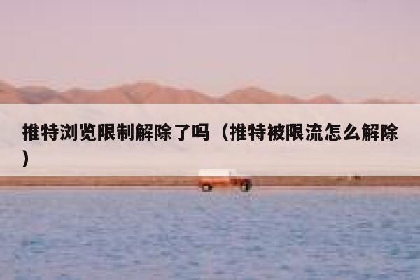 推特浏览限制解除了吗(推特被限流怎么解除) 第1张 推特浏览限制解除了吗(推特被限流怎么解除) 第1张