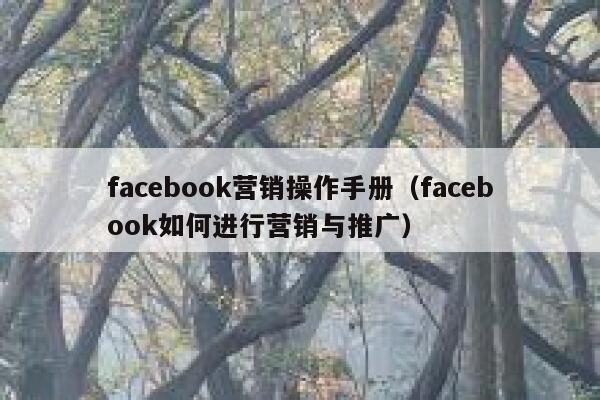 facebook营销操作手册(facebook如何进行营销与推广) 第1张 facebook营销操作手册(facebook如何进行营销与推广) 第1张